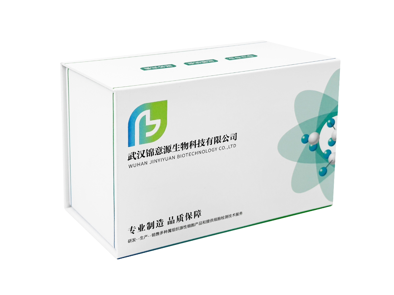 大鼠视网膜微血管内皮细胞